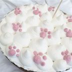 《無添加》ねこちゃんの誕生日も盛大にお祝いしようケーキ 4号 3