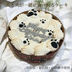 わんちゃんにも韓国センイルケーキをプレゼント 2