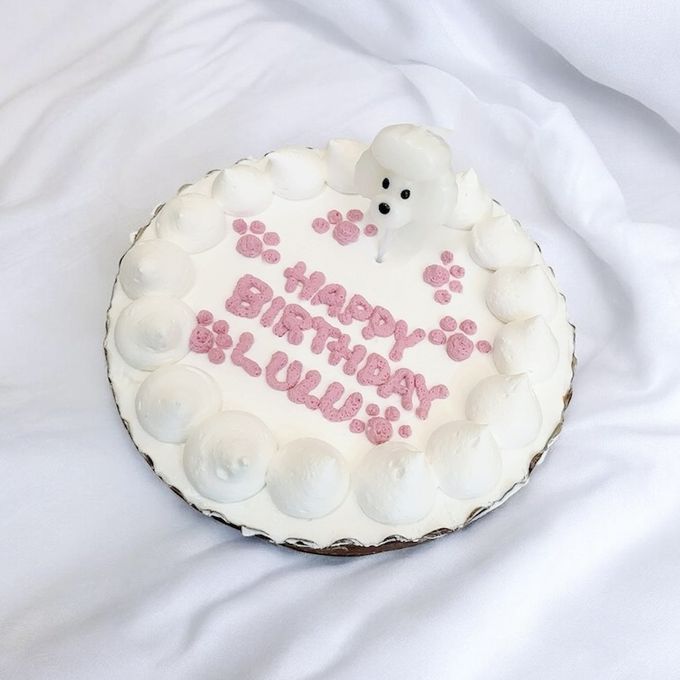 《無添加》わんちゃんねこちゃんにも安心安全の可愛いバースデーケーキをプレゼントしよう 4号 2