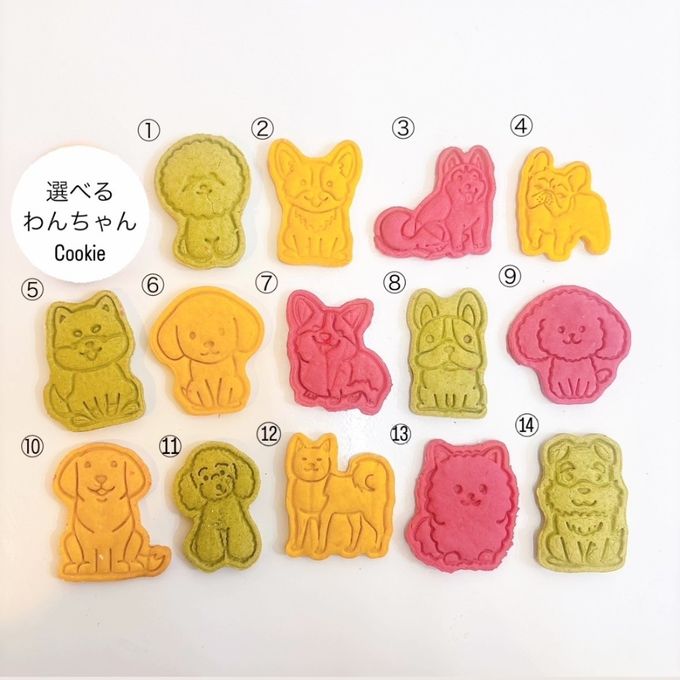 《無添加》犬種カスタムでオリジナルのバースデーケーキを作ろう 5