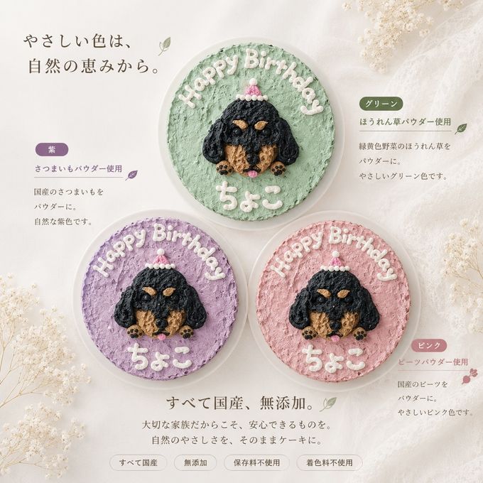 《無添加》きみに贈るバースデーケーキ4号 5