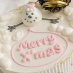 《無添加》わんちゃんと一緒にクリスマスも楽しもうケーキ 4号 2