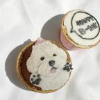 《無添加》わんこのためのごほうびカップ 3