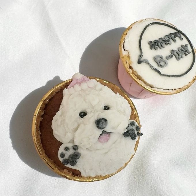 《無添加》わんこのためのごほうびカップ 3