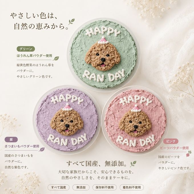 《無添加》 もこもこプードルととっておきのおたんじょうびケーキ4号 7