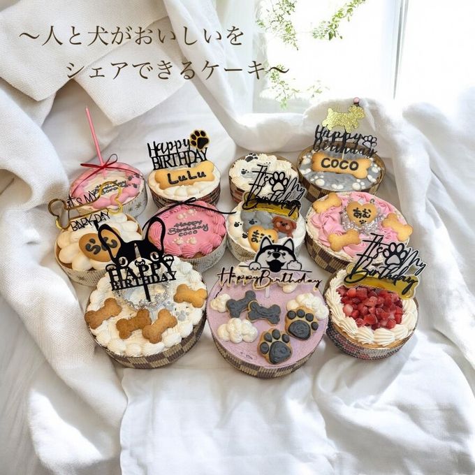 《無添加》ねこちゃんの誕生日も盛大にお祝いしようケーキ 4号 5