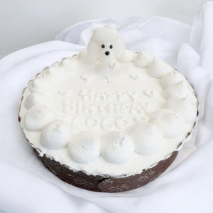 《無添加》わんちゃんねこちゃんも喜ぶシンプルで可愛いバースデーケーキ4号 1
