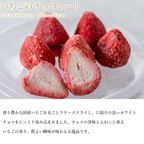 いちごのチョコレート 母の日のギフト・プレゼント2025 2