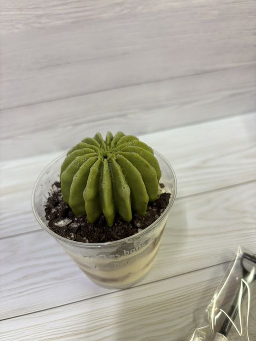 サボテンティラミス（シャベル型スプーン付き） 5