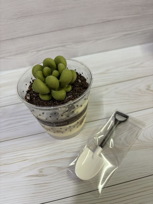 サボテンティラミス（シャベル型スプーン付き） 6