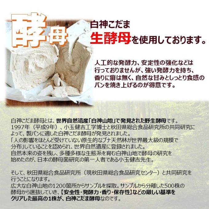 グルテンフリー・ヴィーガン 米粉餡パン（粒あん） 5個入り 生酵母使用 8