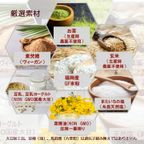 グルテンフリー・ヴィーガン 米粉餡パン（粒あん） 5個入り 生酵母使用 9