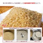 グルテンフリー ヴィーガン 玄米パン（プレーン） 8