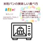 グルテンフリー・ヴィーガン 米粉まるパン 10個入り 生酵母使用 10
