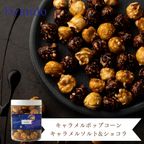 ポップコーン キャラメルソルト＆ショコラ 即日出荷 指定日可 即日出荷 日時指定可 夏ギフト ギフト おしゃれ  個包装 お中元2026 1