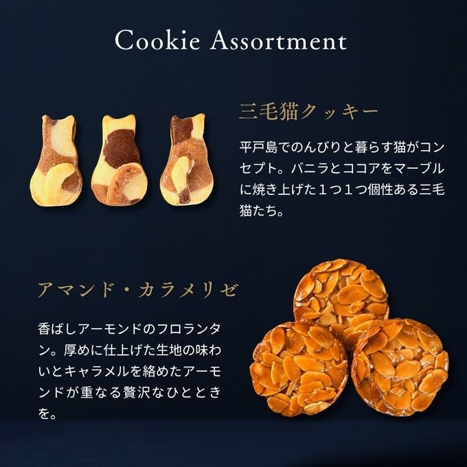月と猫のクッキー缶 GATO LUA ガトルア (5種21個)  1缶  即日出荷 指定日可 敬老の日 ハロウィン 冬ギフト お歳暮  おしゃれ 焼き菓子 クッキー缶  ハロウィン2026 敬老の日2026 5