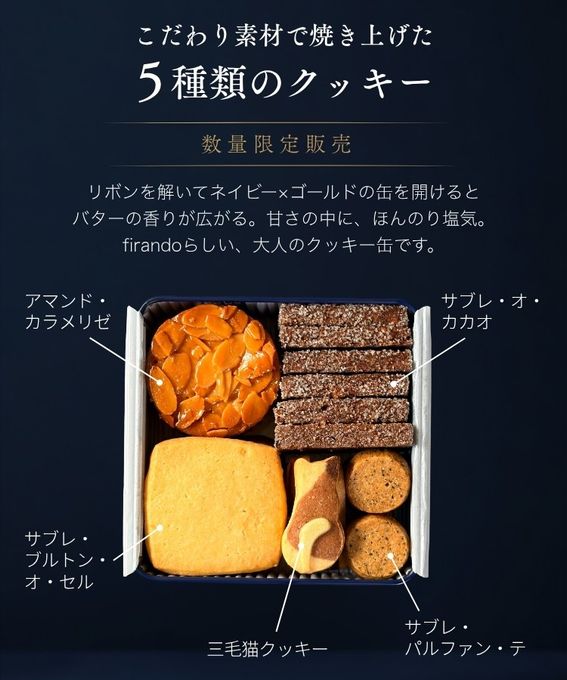 月と猫のクッキー缶 GATO LUA ガトルア (5種21個)  1缶  即日出荷 指定日可 敬老の日 ハロウィン 冬ギフト お歳暮  おしゃれ 焼き菓子 クッキー缶  ハロウィン2026 敬老の日2026 4