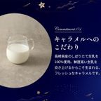 ピスタチオキャラメルスプレッド 即日出荷 指定日可 父の日2026 お中元2026 9