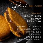 キャラメルサンド箱入り(14個) 即日出荷 指定日可 夏ギフト ギフト おしゃれ 焼き菓子 個包装  7