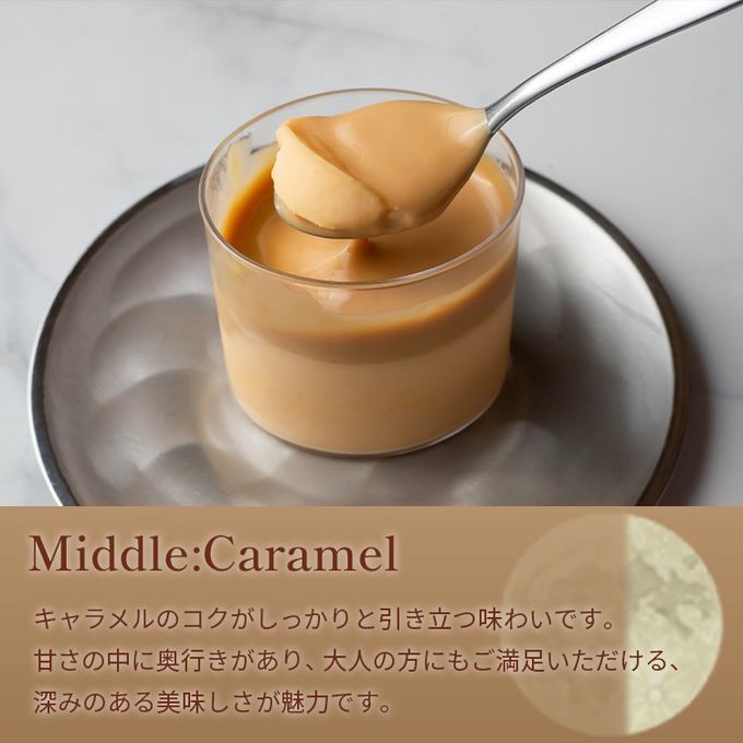 キャラメルマスカルポーネプリン６本セット（light/middle/premium dark） 8