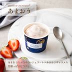 キャラメルジェラート６種セット 7