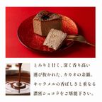 ショコラキャラメルバスクチーズケーキ 8