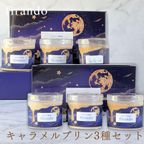 3つの濃度 キャラメルプリン3本セット（light/middle/premium dark）即日出荷 指定日可 敬老の日 ハロウィン 冬ギフト お歳暮  おしゃれ プリン 個包装  ハロウィン2026 敬老の日2026 1