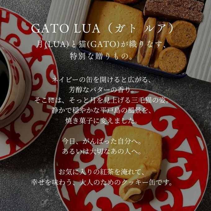 月と猫のクッキー缶 GATO LUA ガトルア (5種21個)  1缶  即日出荷 指定日可 敬老の日 ハロウィン 冬ギフト お歳暮  おしゃれ 焼き菓子 クッキー缶  ハロウィン2026 敬老の日2026 2
