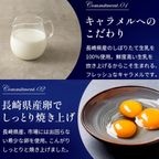 キャラメルバスクチーズケーキ 即日出荷 指定日可 夏ギフト ギフト おしゃれ 焼き菓子 個包装 お中元2026 9