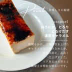 キャラメルバスクチーズケーキ 即日出荷 指定日可 夏ギフト ギフト おしゃれ 焼き菓子 個包装 お中元2026 4