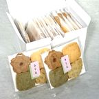 さくら【簡易箱】ひな祭り2026/ホワイトデー2026 1