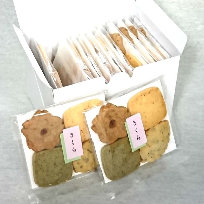 さくら【簡易箱】ひな祭り2026/ホワイトデー2026 1