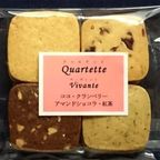 ヴィヴァント【簡易箱】（８袋入） 2