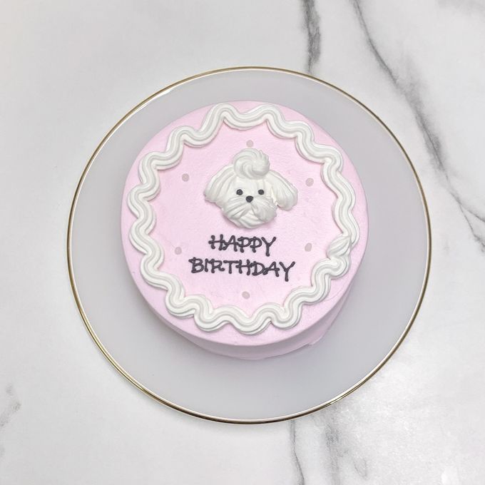【店頭受取】マルチーズセンイルケーキ 3号《 選べる10色｜韓国｜誕生日｜バースデーケーキ 》 3