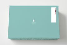 ホシフルーツ 山梨の白桃ぜりぃ ７個 9