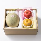 ホシフルーツ おまかせ旬のフルーツＢＯＸ Ｂ 7