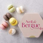 マカロン 6個入 ホワイトデー2026 1