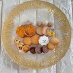 ビションとお花のクッキーボックス【M】 3