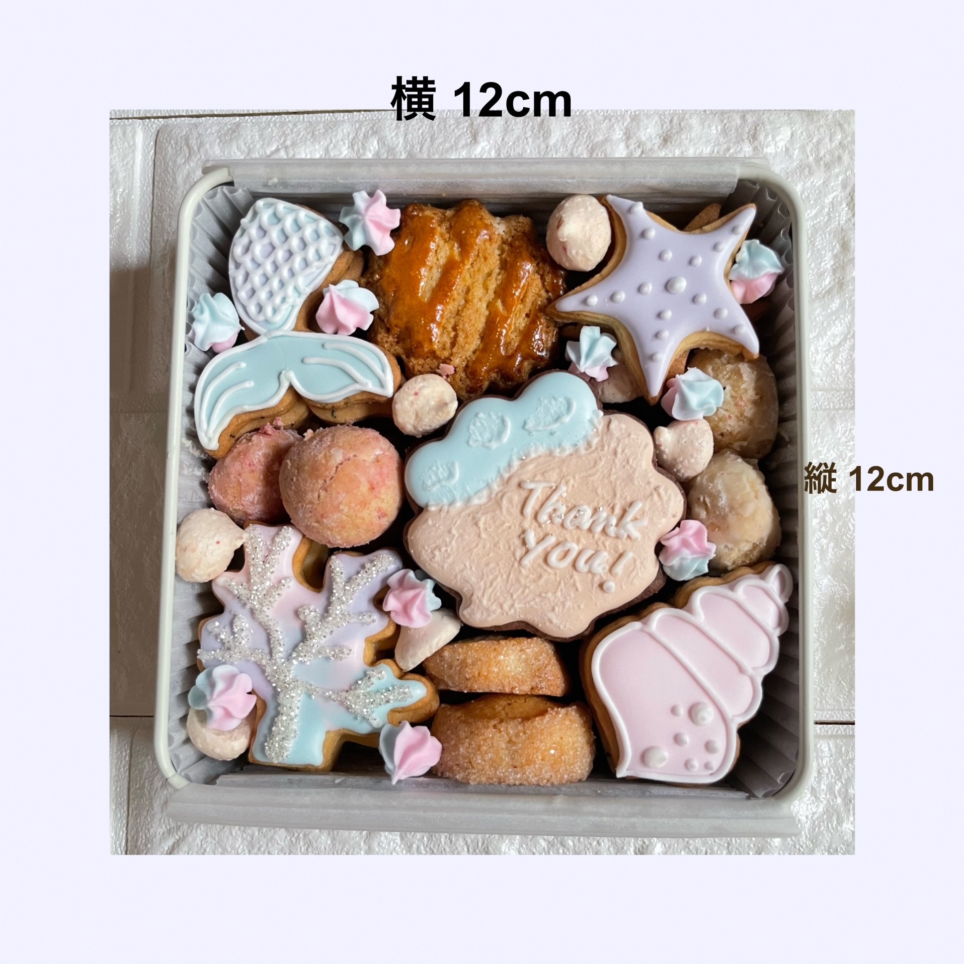 クッキーアンまとめ(バラ❌) キラキラサマーのアイシングクッキー缶（puapua） | Cake.jp