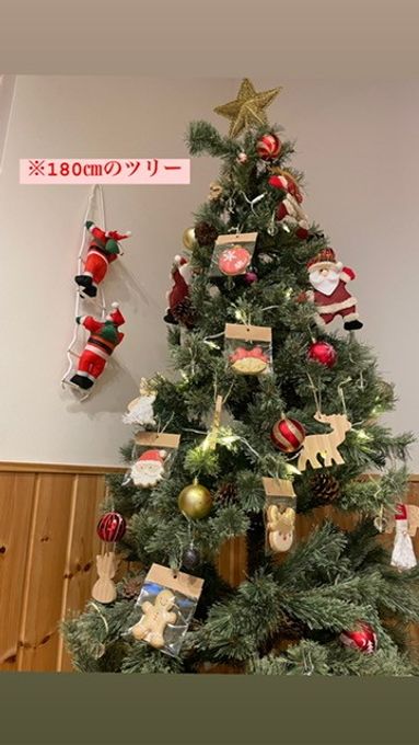 大きめサイズのオーナメントアイシングクッキー5枚セット 4