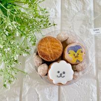 ビションとお花のクッキーボックス【M】