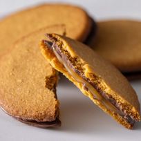 鎌倉サンドキャラメル 8個入