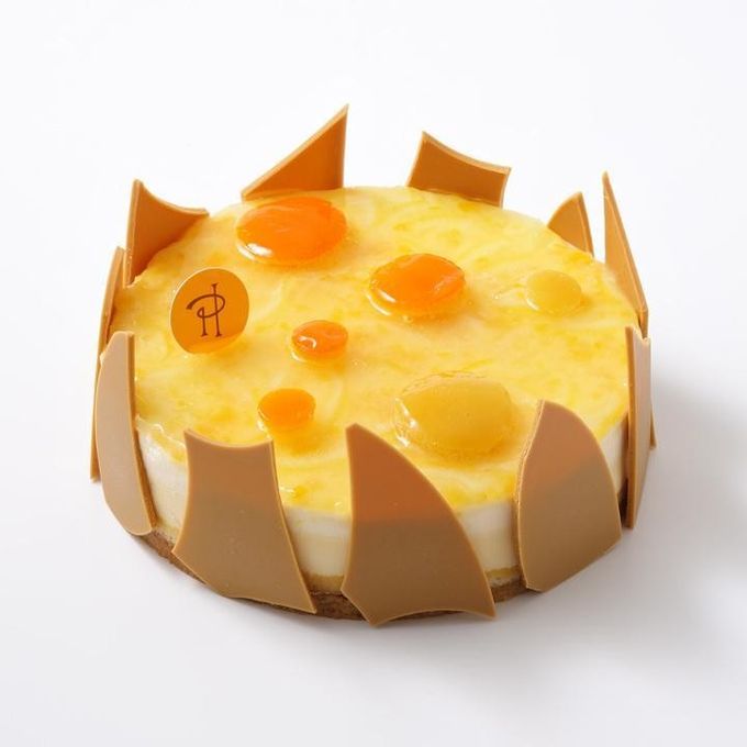 チーズケーキ ジャルダン ド ラトラス 10584 1