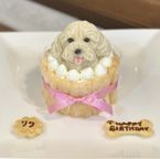 ノワールデコ３号 2