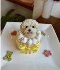 ノワールデコ３ 3