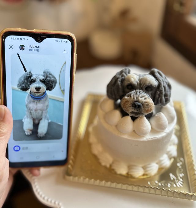 ノワールデコ ツインズ 3