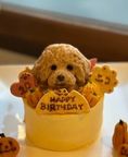 ノワールデコハロウィン2025 1