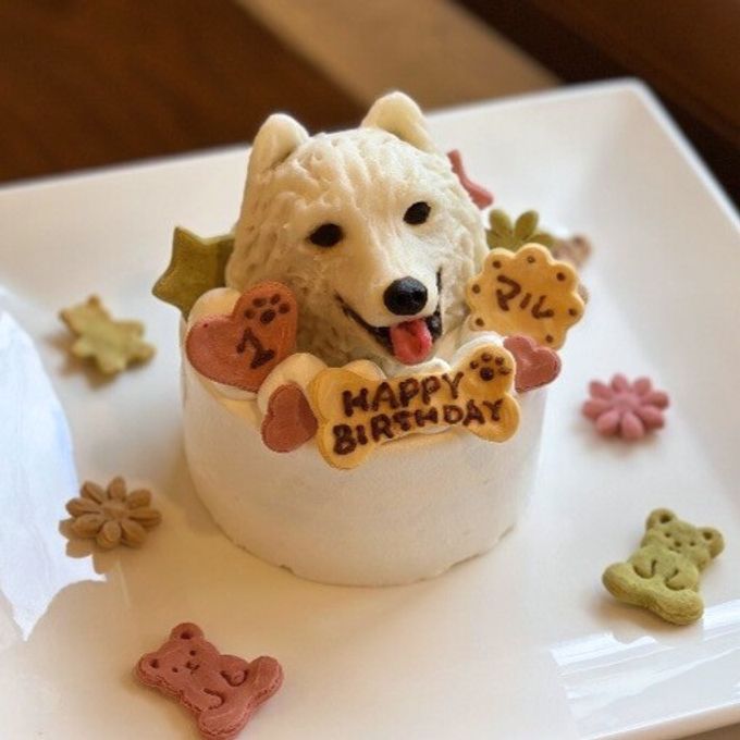 ノワールデコ 1