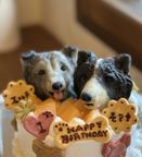 ノワールデコ ツインズ 2