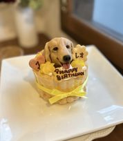 さつまいものシャルロット 3